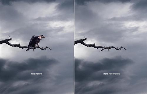 Creative Advertisements