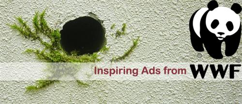 Creative Advertisements