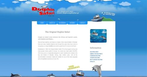 Dolphin Safari