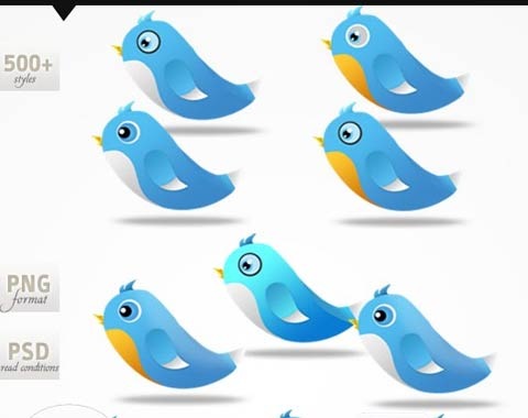 twitter-bird