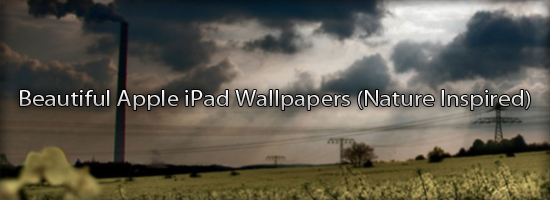 iPad Wallpapers