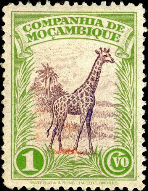 1937 Mozambique Company - Giraffe and Trees