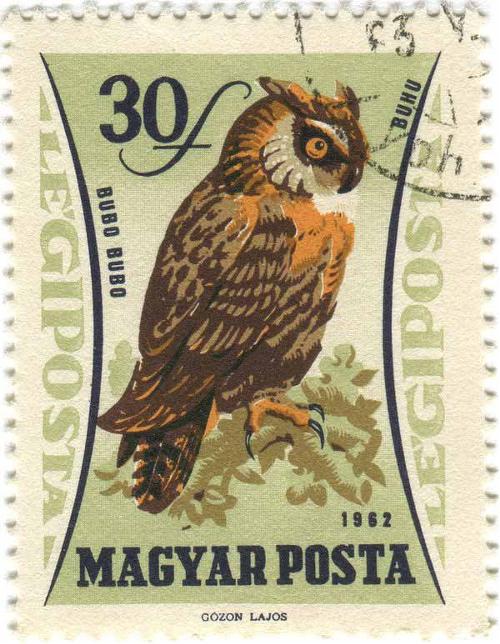 1962 Hungary - Owl