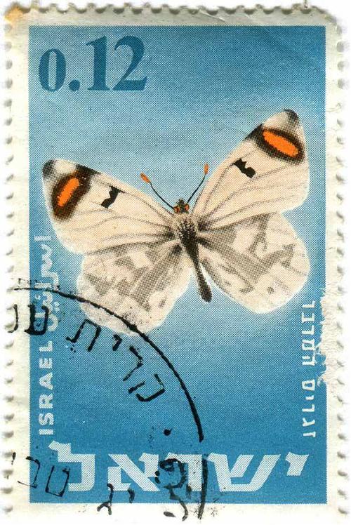 1965 Israel - Butterfly