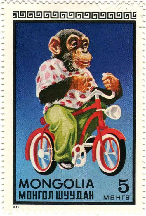 1973 Mongolia - Chimp on Bicycle