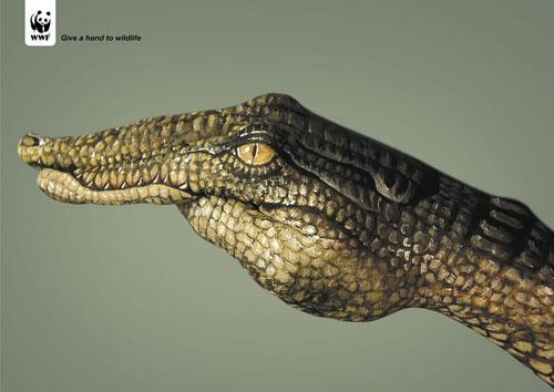 WWF print advertising 2
