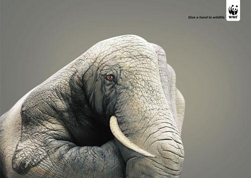 WWF print advertising 3