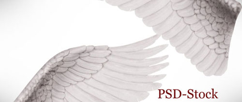 Angel wings free psd file