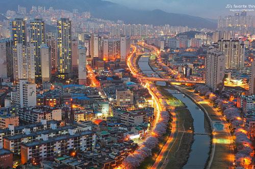 BUSAN - Oncheoncheon photography